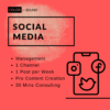 Color In Sound Social Media Agency in Boston for Small Businesses