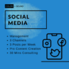 Social Media Management | Blue Package (Level 2)